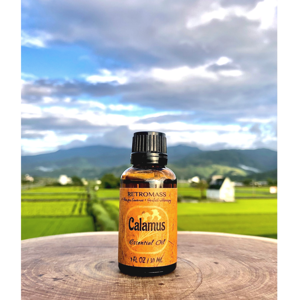 Calamus Essential Oil by Retromass