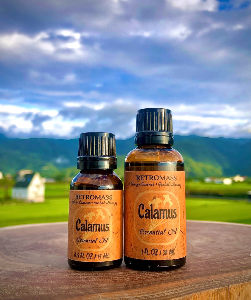 Calamus Essential Oil by Retromass