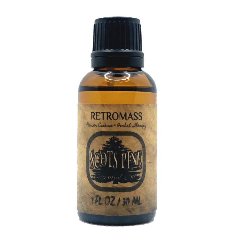 Scots Pine Essential Oil Certified Organic by Retromass