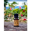 Cajeput Essential Oil 10ml Certified Organic by Retromass