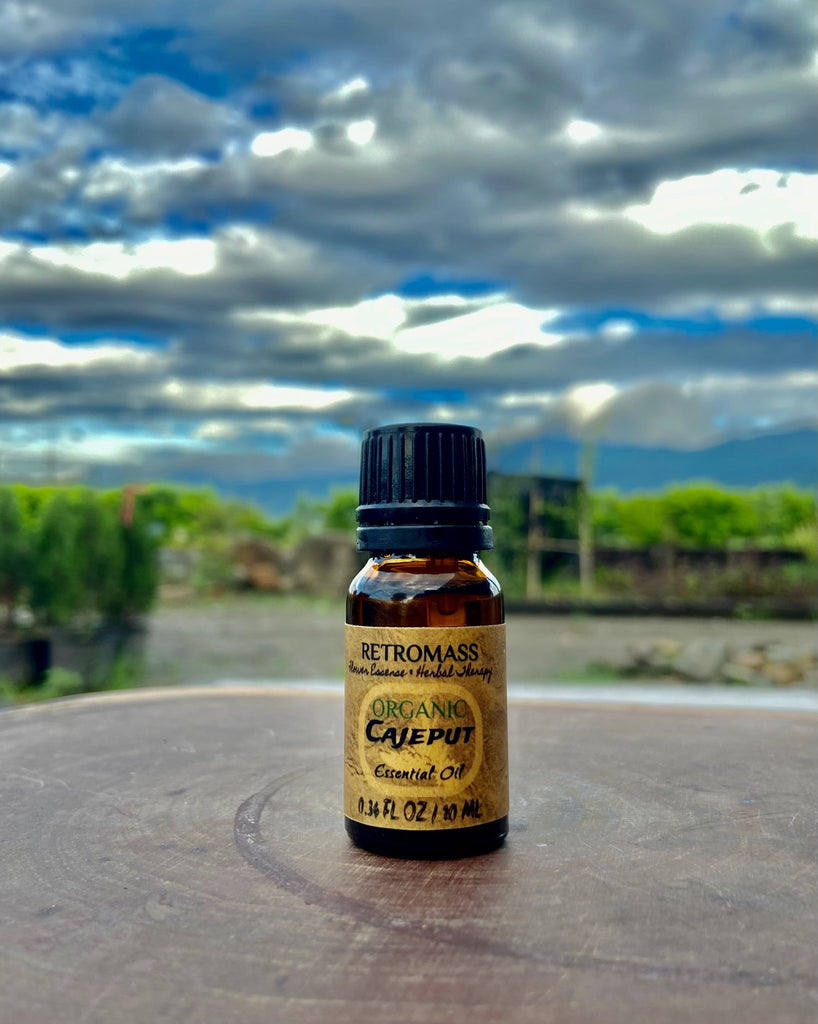 Cajeput Essential Oil 10ml Certified Organic by Retromass